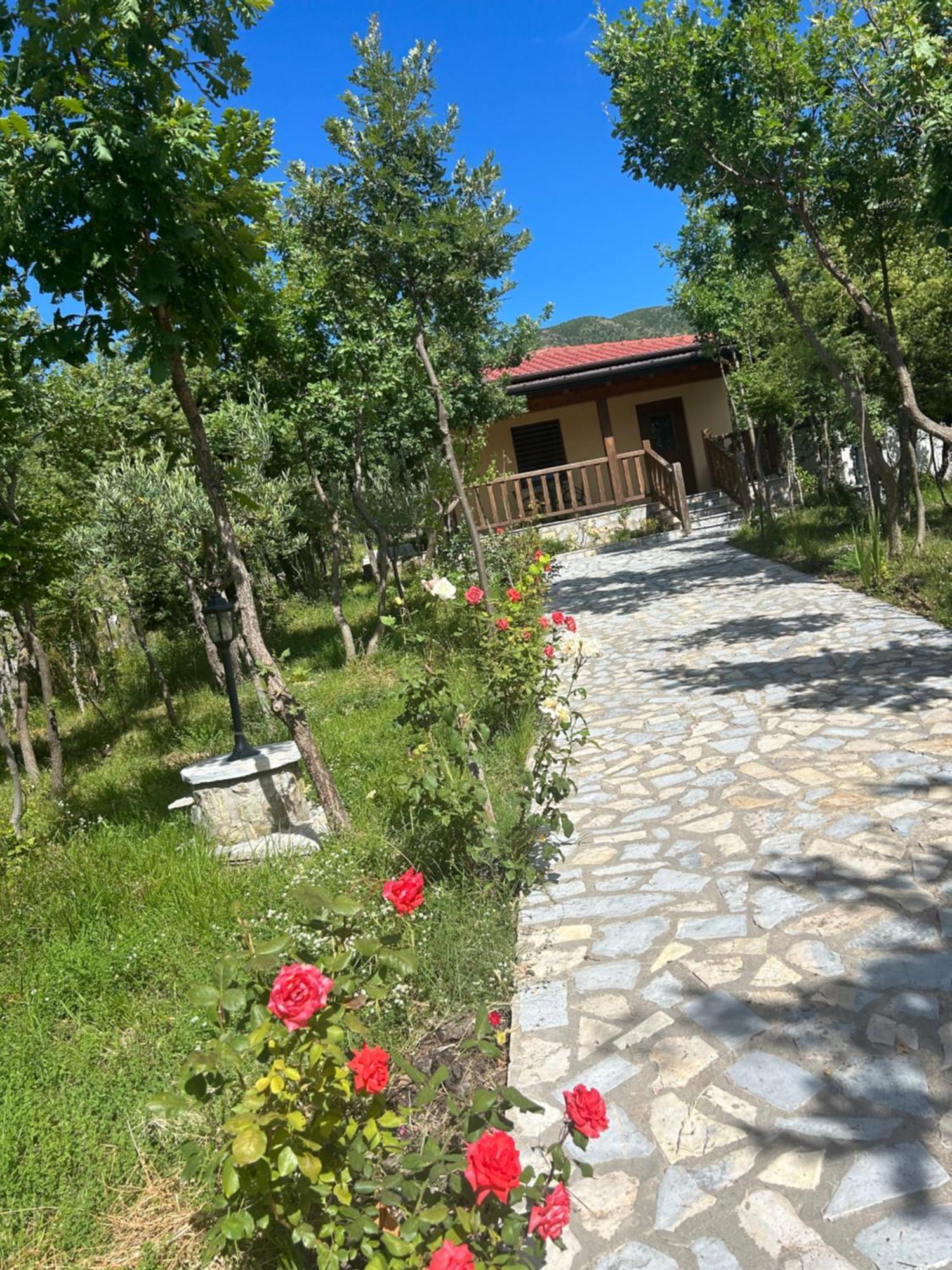 Hani I Leks Agroturizem Лежа Екстер'єр фото